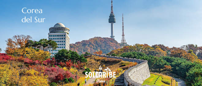 COREA DEL SUR MULTICOLOR